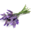 Lavender - Image 2