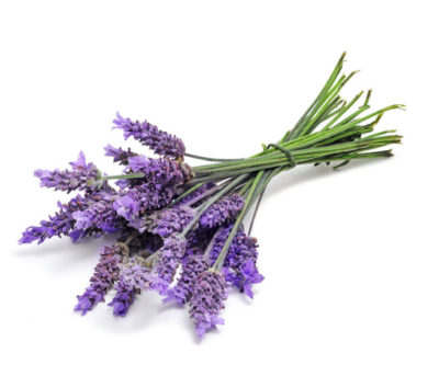 Lavender - Image 2