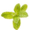 Peppermint - Image 2