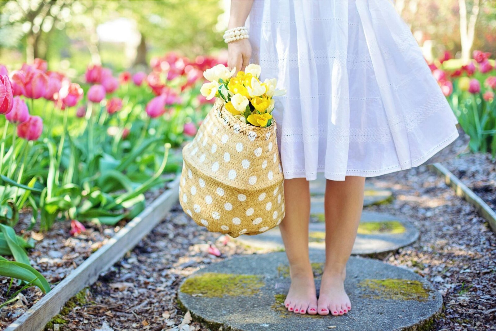 ayurvedic spring